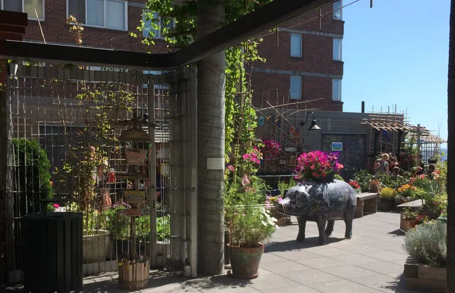 Pike place market's secret free rooftop garden