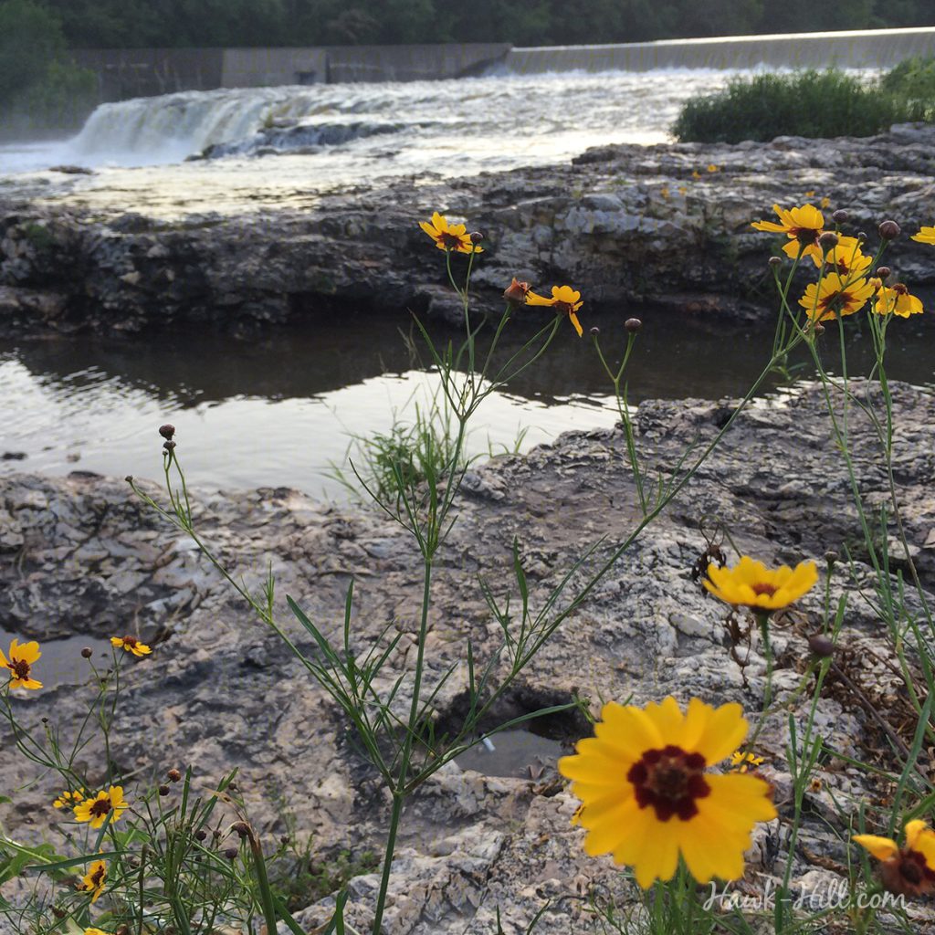 Joplin's grand falls in summer
