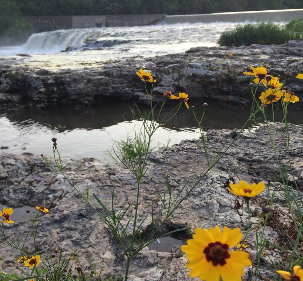 Joplin's grand falls in summer