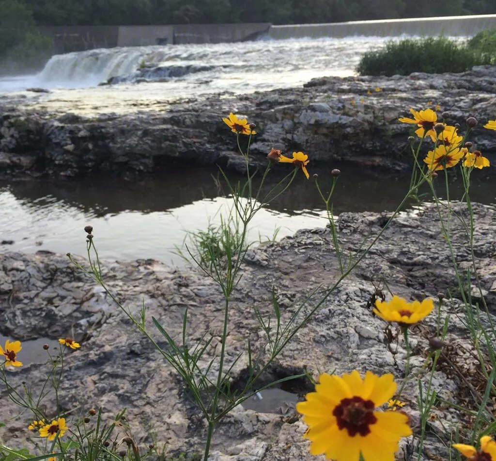Joplin's grand falls in summer