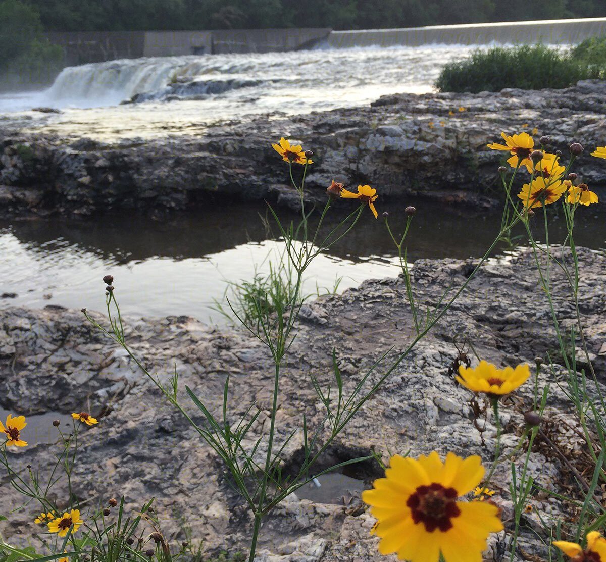 Joplin's grand falls in summer