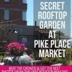 Instructions for finding the rooftop oaisis missed by 99% of visitors to pike place market in seattle