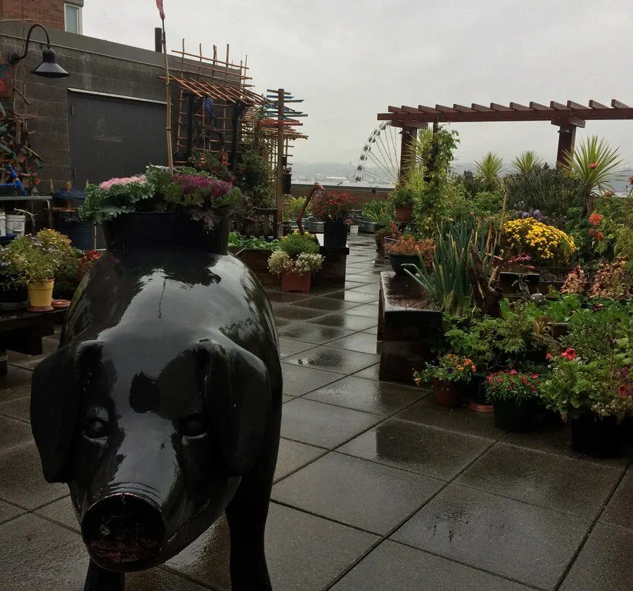 A pike place market pig in the rooftop garden.