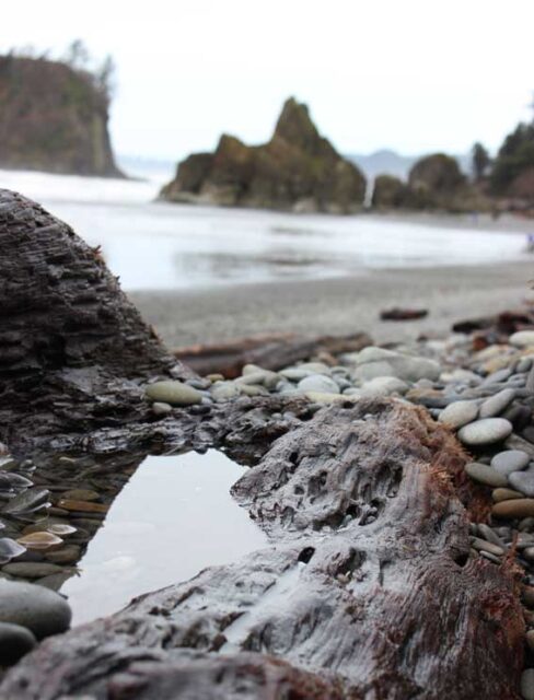 What To Do At the Beach: 25 Fun Beach Activities for Kids and Adults ...