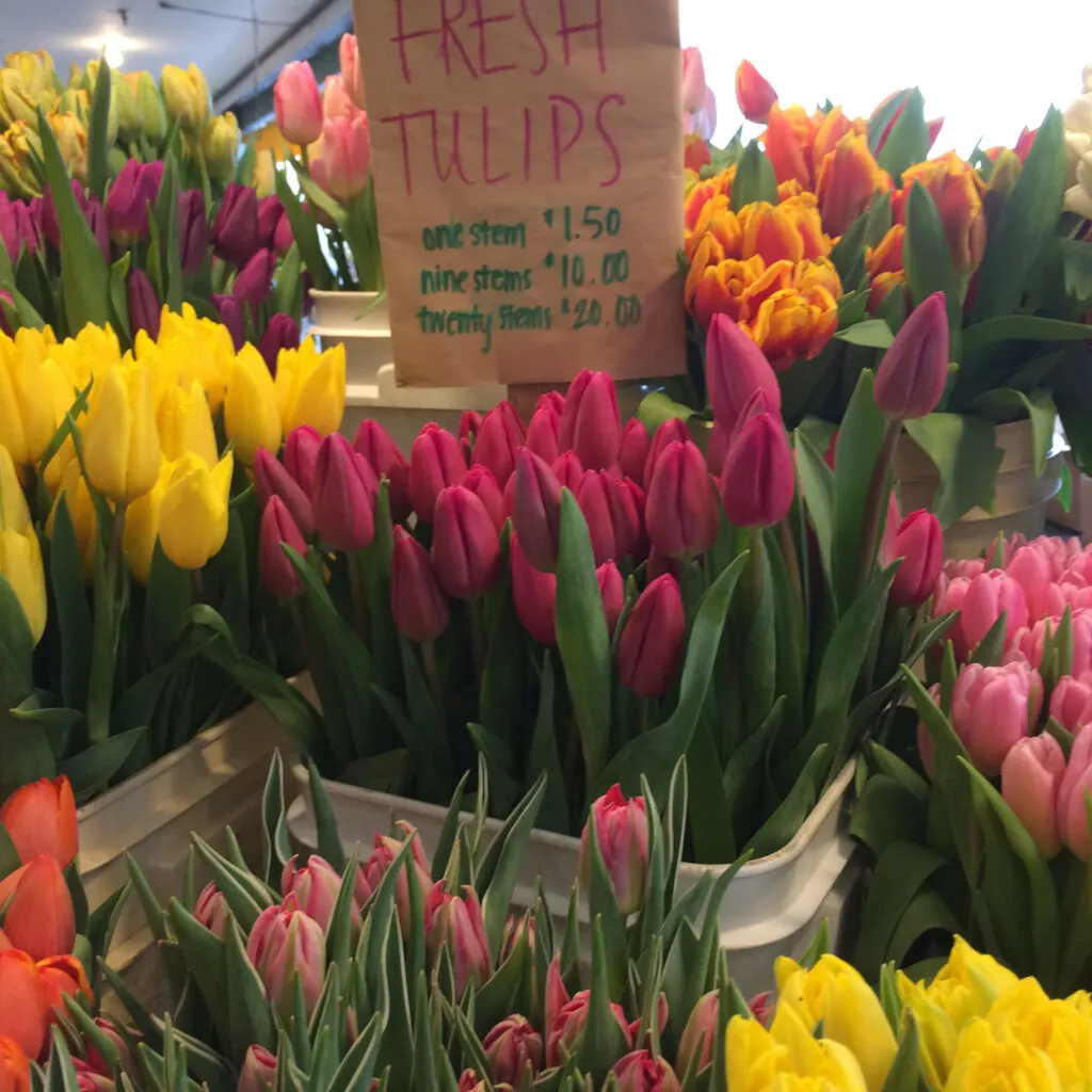 Tulips for sale at pike place market.