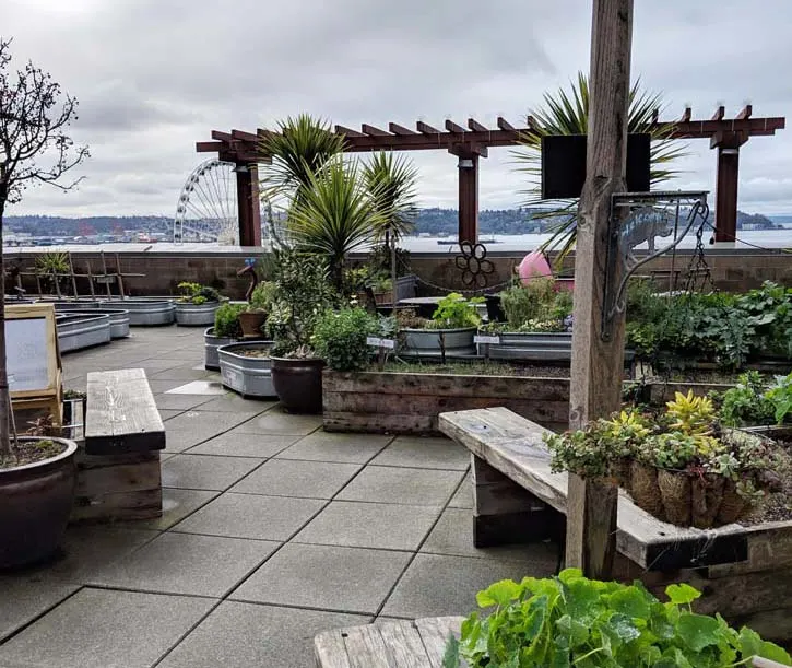 Secret spaces in pike place market