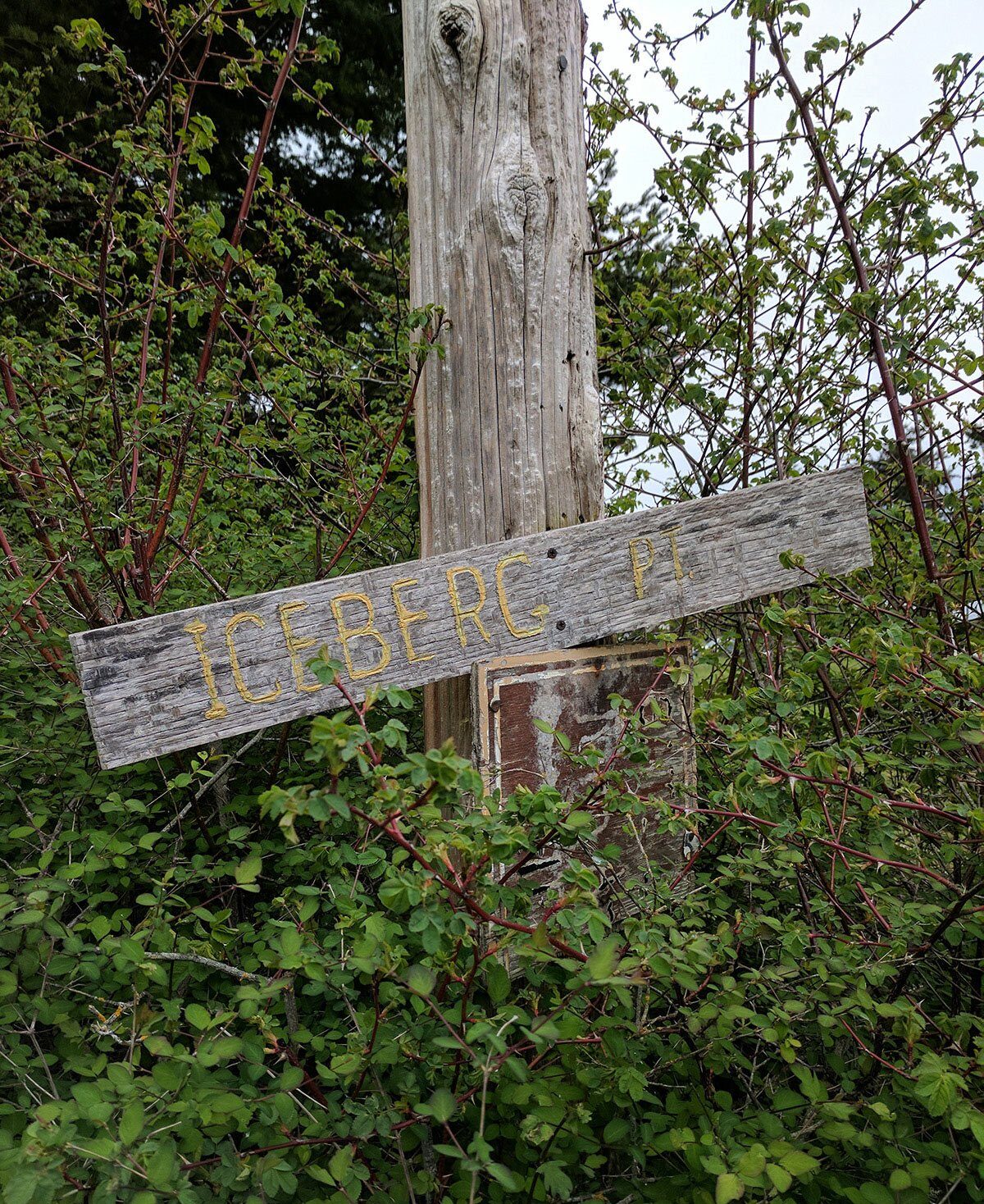 The sign marking the trailhead for iceberg point.