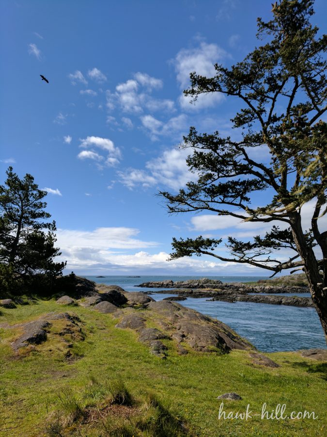 hh pnw lopez island roadtrip 15