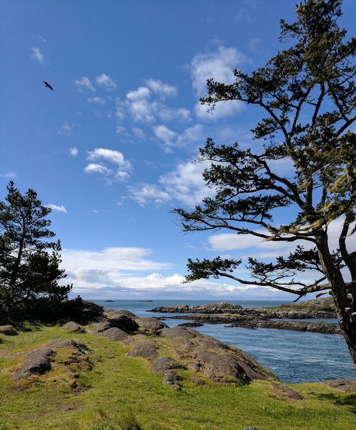 Hh pnw lopez island roadtrip 15 e1599501084868