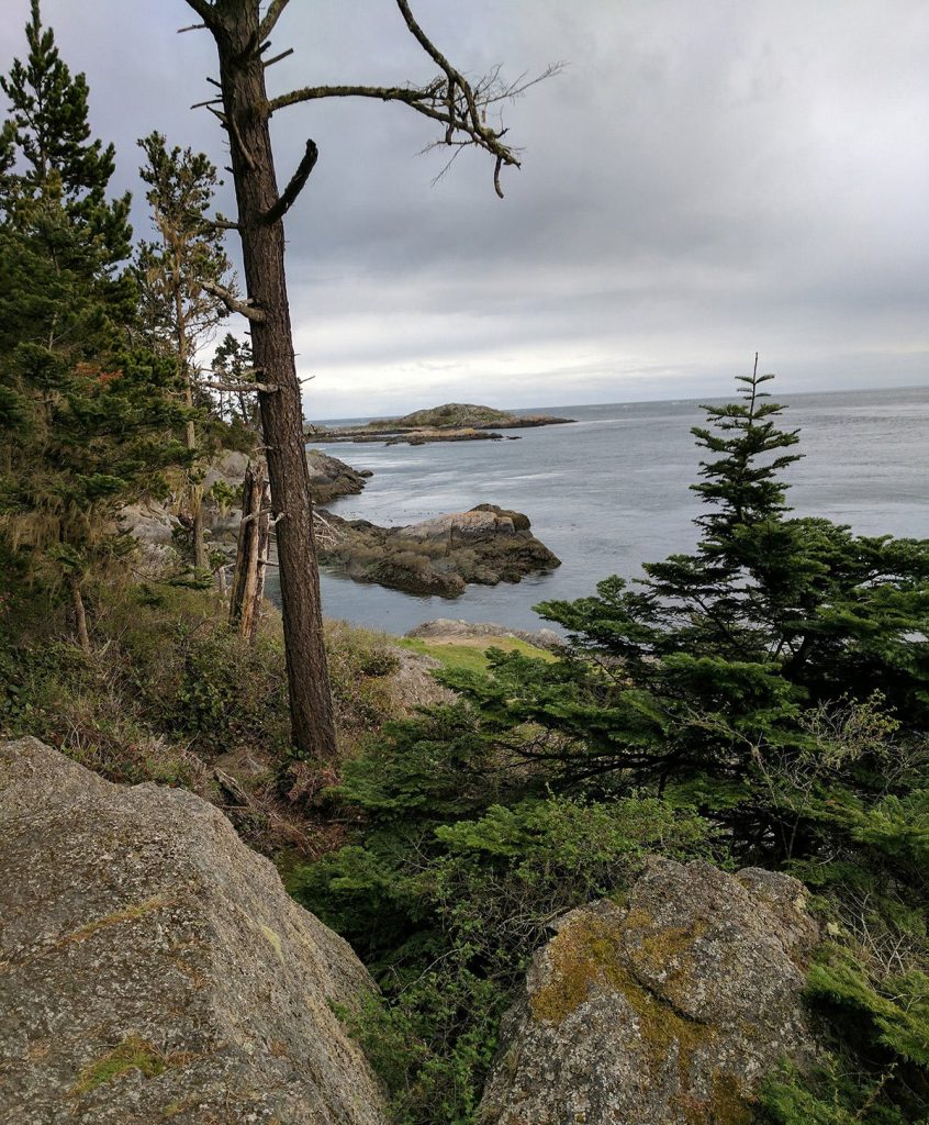 An overlook from lopez island