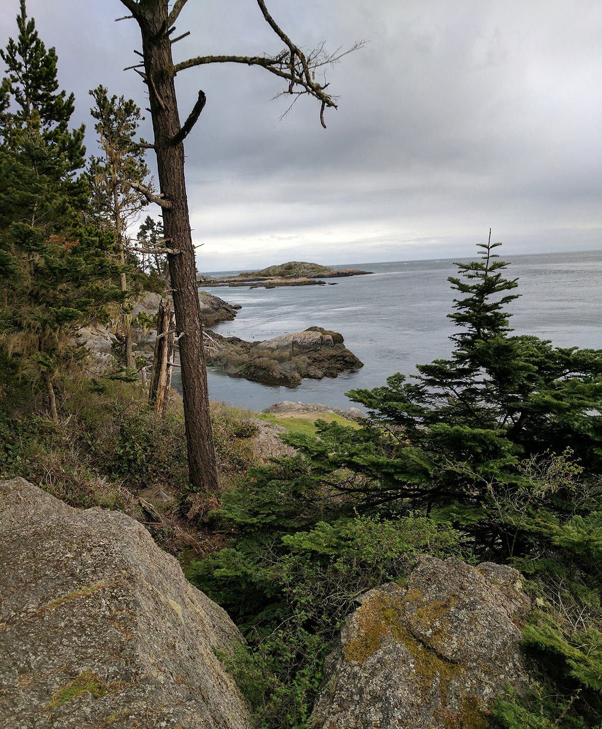 An overlook from lopez island