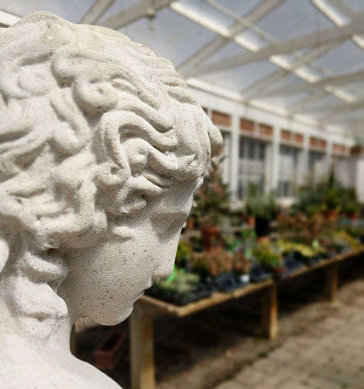 Christianson's nursery in mt vernon wa was an excellent stop for shopping and just browsing the grounds.