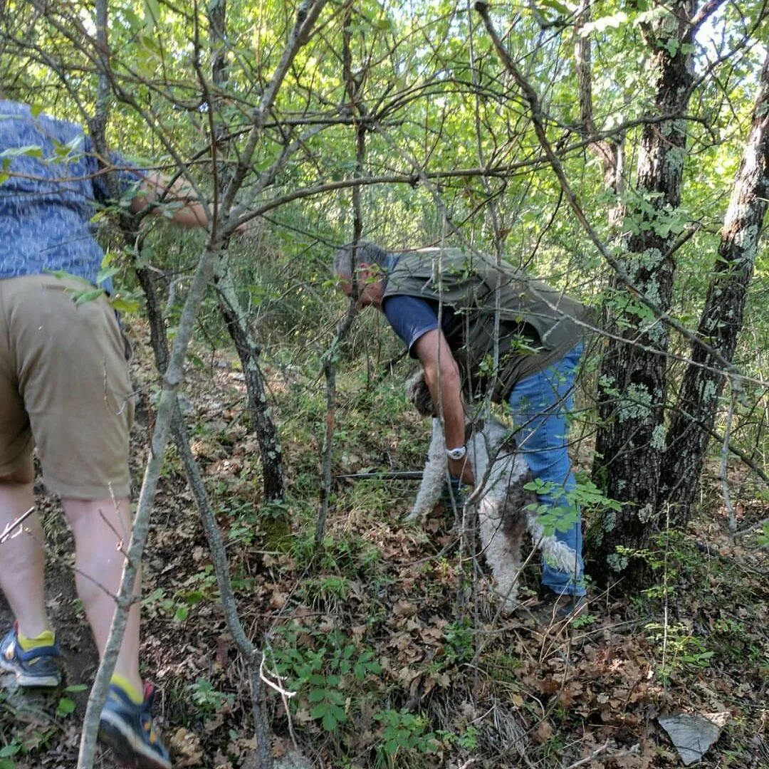 A man and dog truffle hunting in italy.