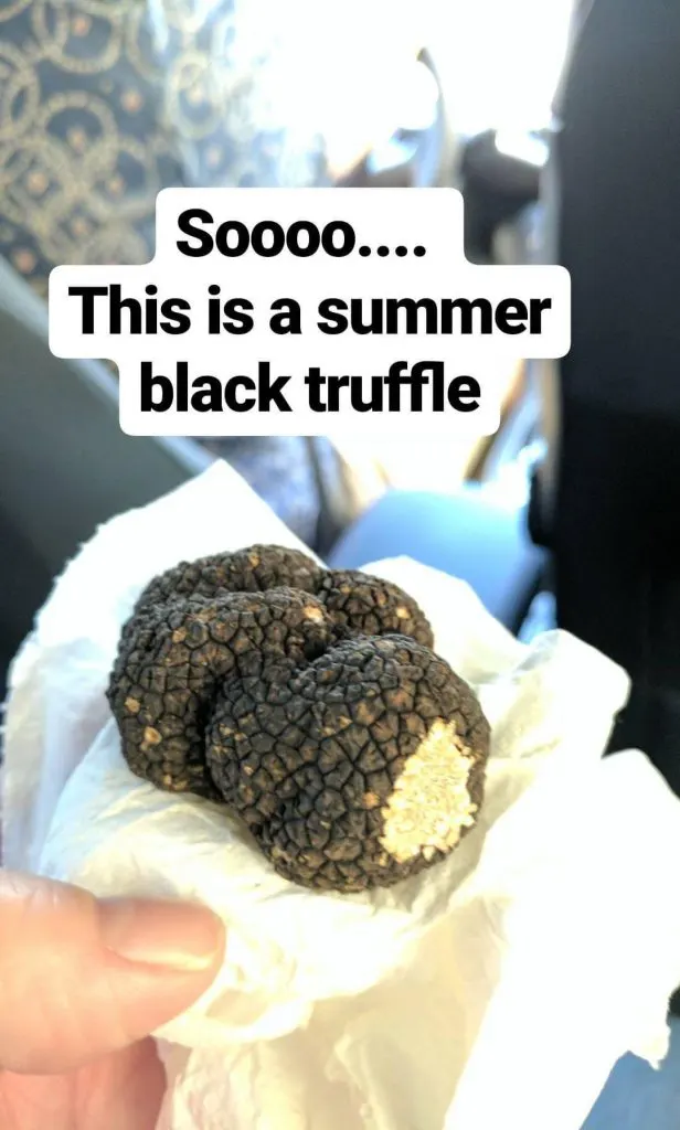 Cooking with fresh truffles in tuscany.