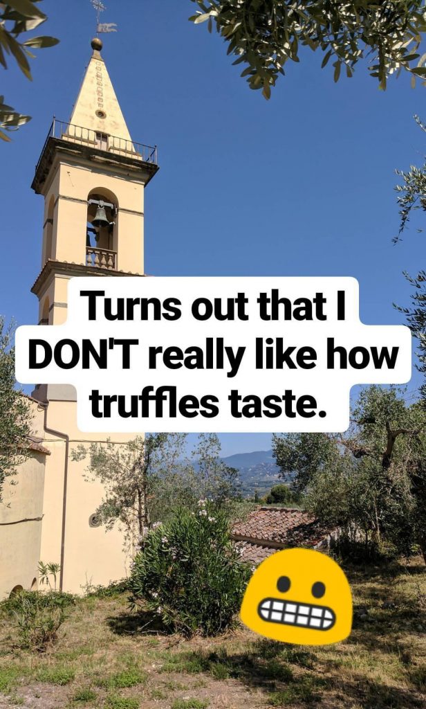 A capture of an instagram story in florence, italy.