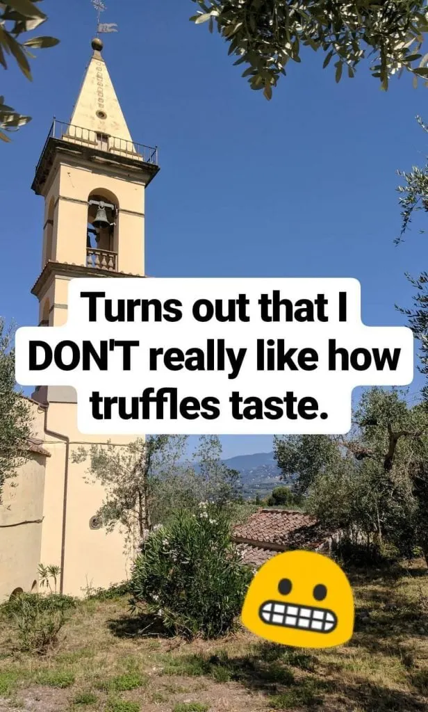 A capture of an instagram story in florence, italy.