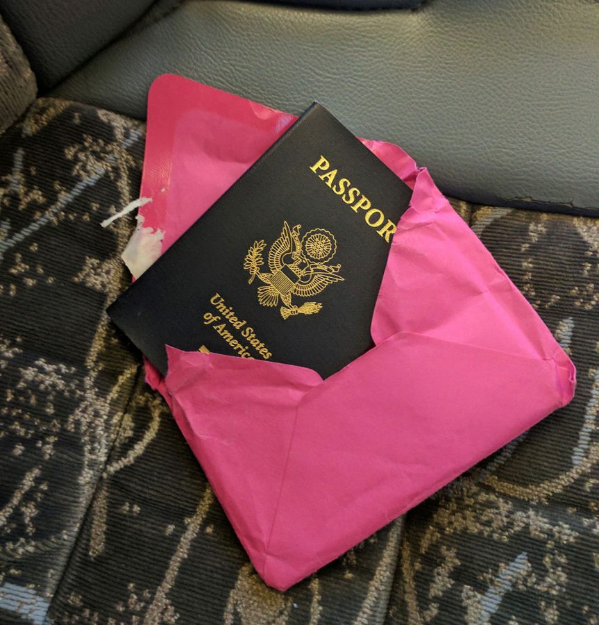 Solo travel security passport tip