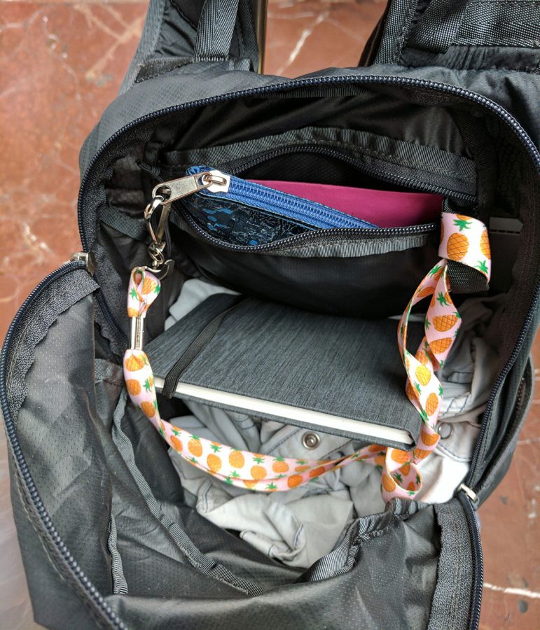 Solo travel security wallet 3