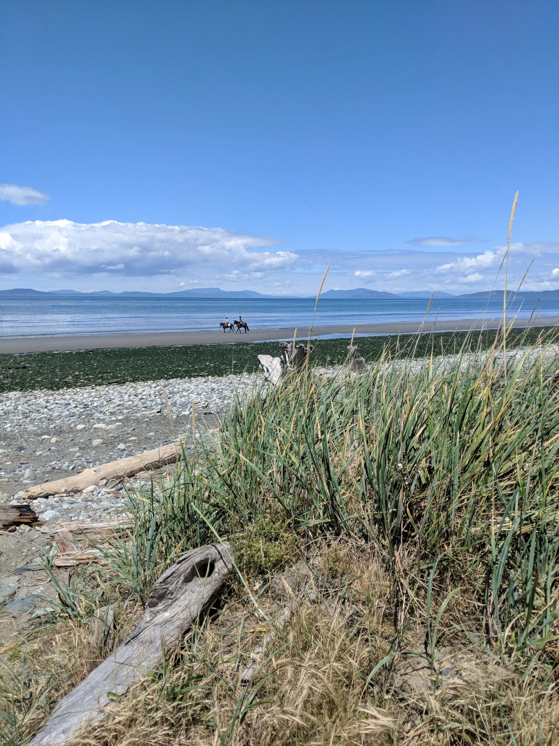 View from the beach at ft casey state park on whidbey island