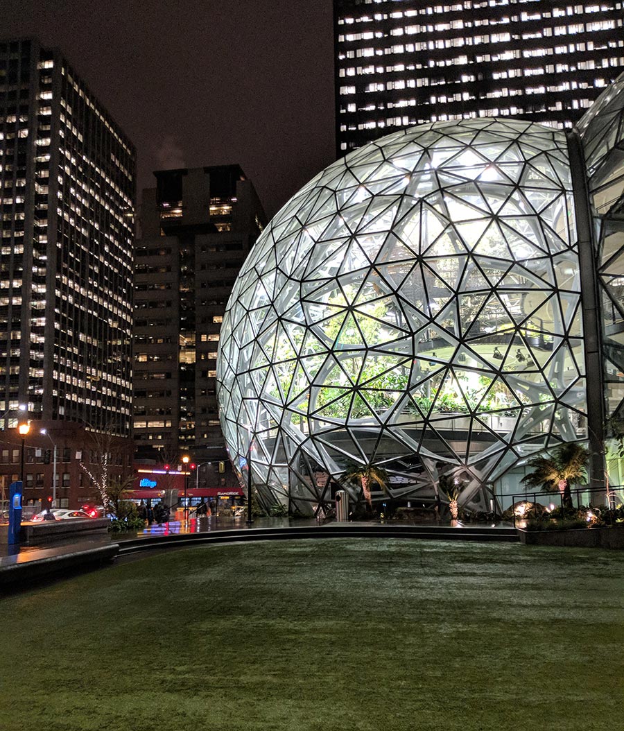 The amazon spheres illuminating south lake union.