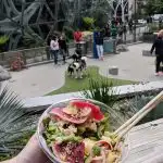 A poke salad held with the amazon sphere dog park in the background