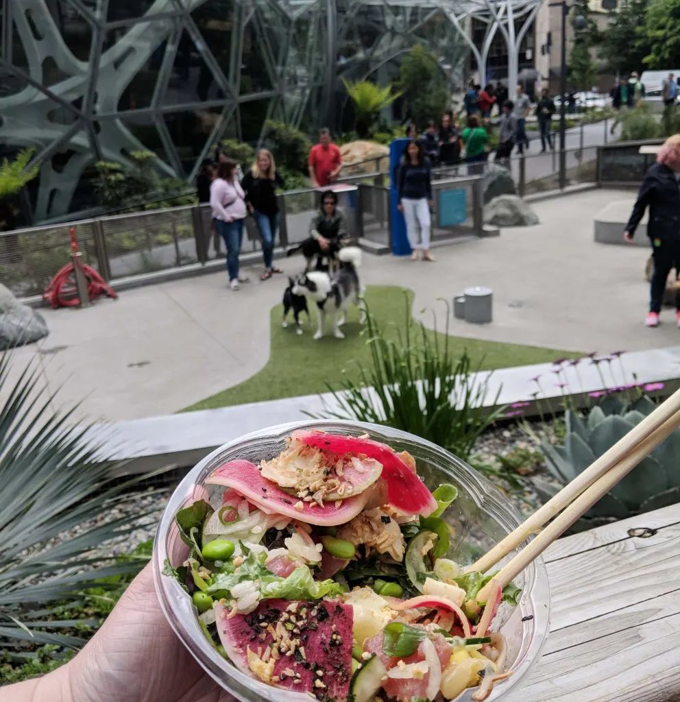 A poke salad held with the amazon sphere dog park in the background