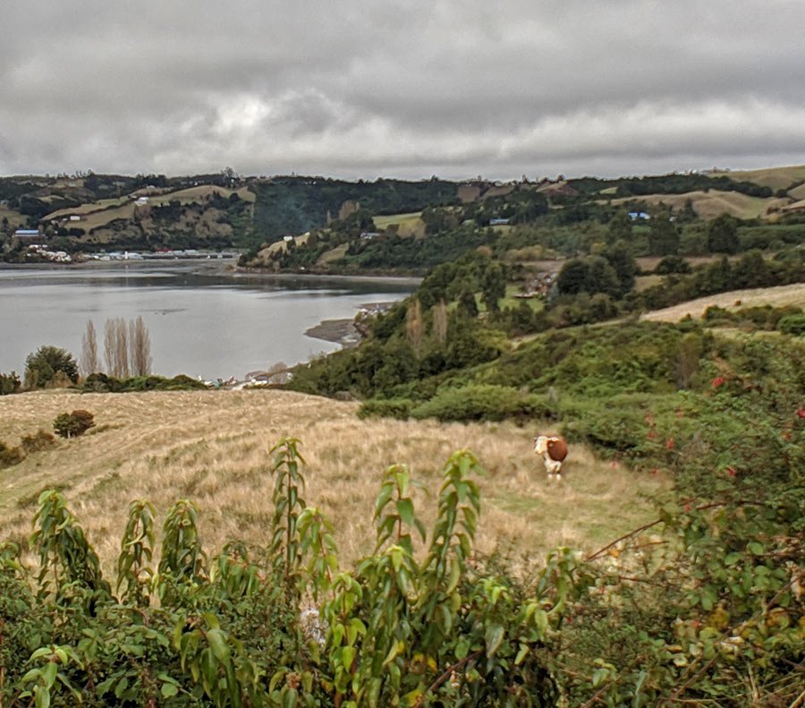 Wb chiloe patagonia 20190508 122548