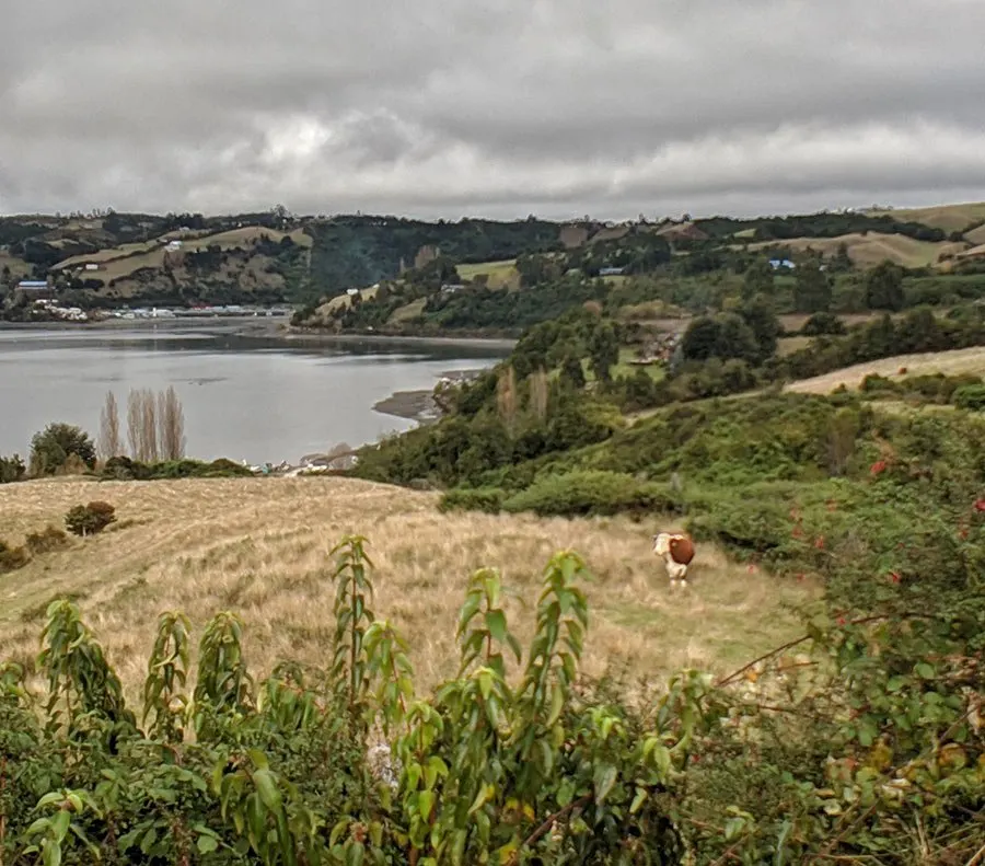 Wb chiloe patagonia 20190508 122548