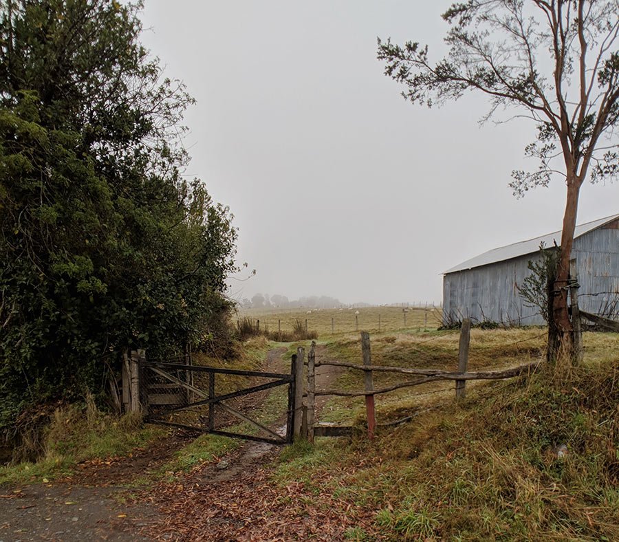 Wb chiloe patagonia 20190508 140444