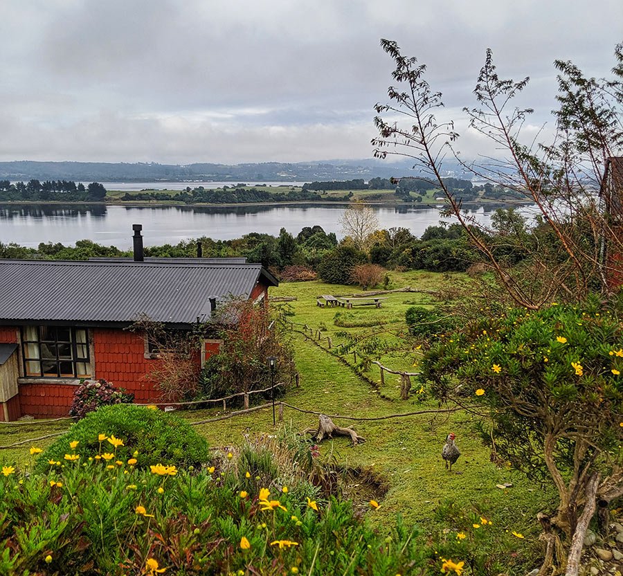Wb chiloe patagonia 2019 13659