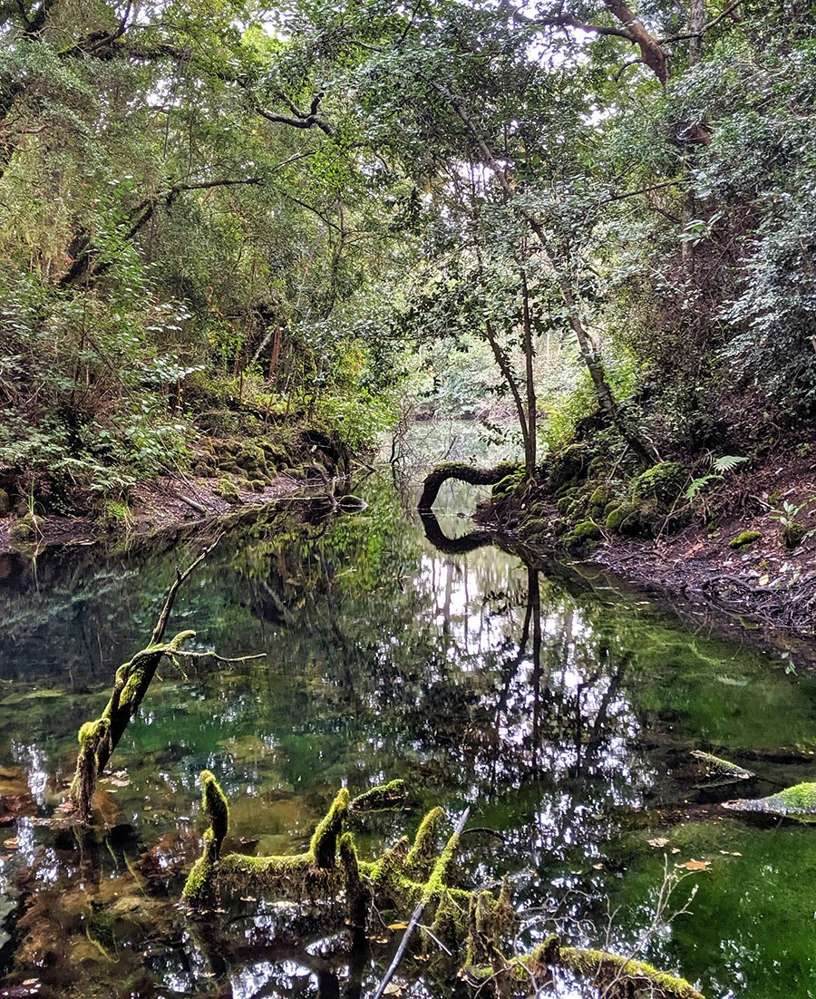 Wb chiloe patagonia 2019 71143