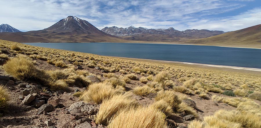 Hh atacama 12