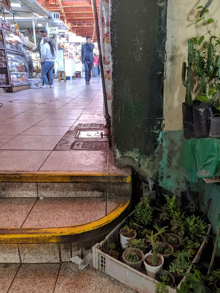In the central market in arequipa, peru, you can buy everything from meats to houseplants, to educational supplies, to party supplies