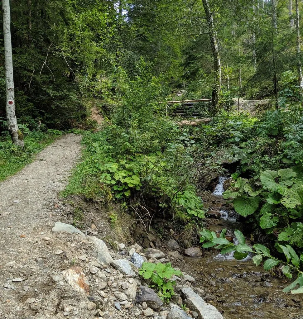 Short hiking trails at the endpoint of the trout trip are an option for the lunch break