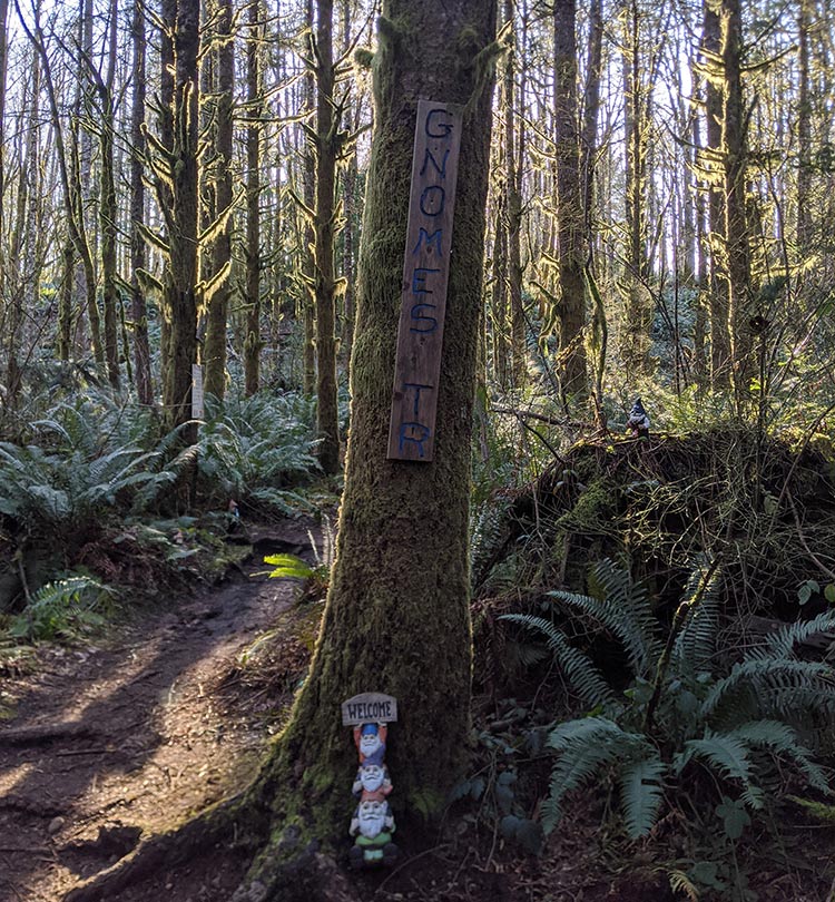 Hh gnome trail seattle 012