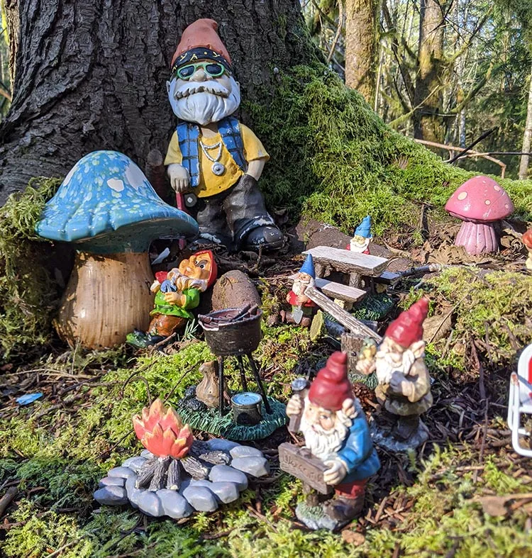 Visting the pnw hiking trail where gnomes roam about freely