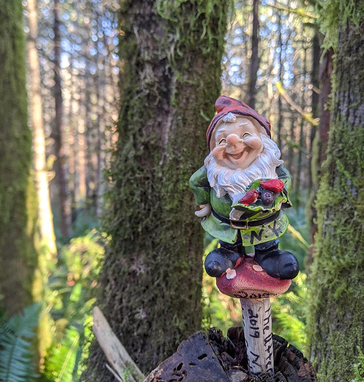 Visting the pnw hiking trail where gnomes rule the woods