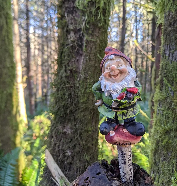Visting the pnw hiking trail where gnomes rule the woods