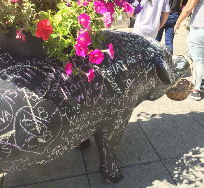 The chalk pig at the market's rooftop garden.