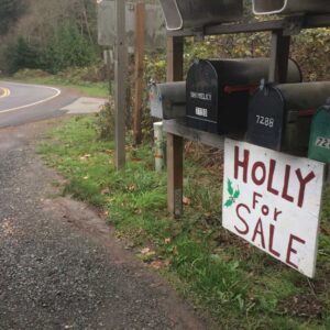 Christmas on bainbridge island: 8 ways to celebrate