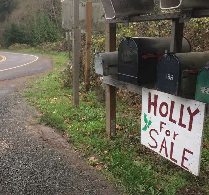 Holly for sale sign on bainbridge island