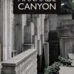 Freeway park; seattle's brutalist manmade canyon on a freeway lid