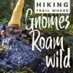 Visting the pnw hiking trail where gnomes rule the woods