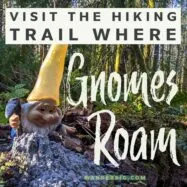Hiking the maple valley gnome trail – seattle day trips