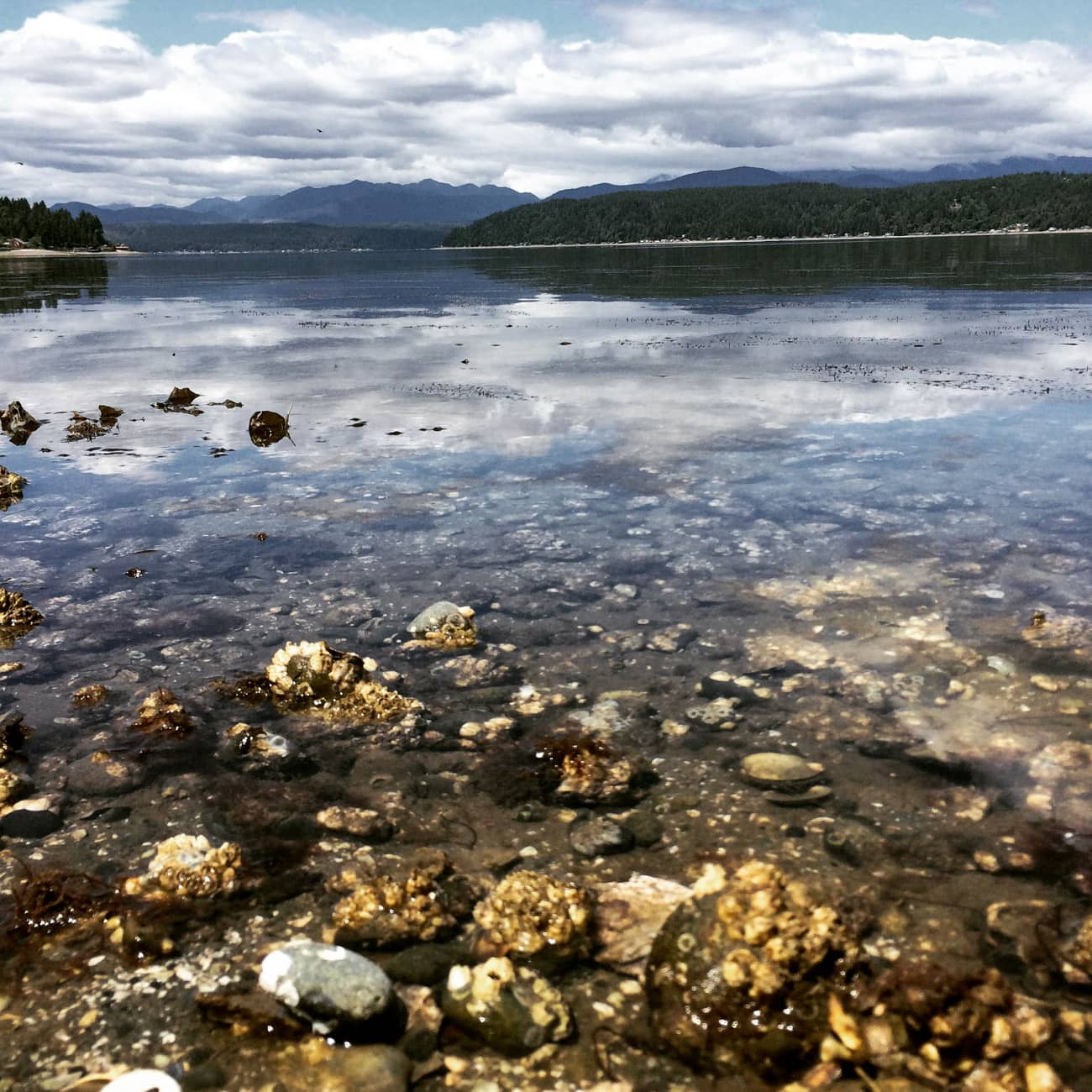 Eating shellfish is a fun part of a trip to the hood canal