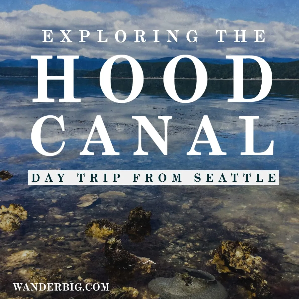 Escape to the calm of the hood canal, only a little over an hour from downtown seattle. With this itinerary for a hood canal day trip you can explore the food, wildlife, and landscape of the hood canal while ending your day with a mini vacation and fire pit at my favorite resort.