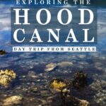 Escape to the calm of the hood canal, only a little over an hour from downtown seattle. With this itinerary for a hood canal day trip you can explore the food, wildlife, and landscape of the hood canal while ending your day with a mini vacation and fire pit at my favorite resort.