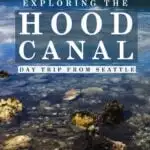 Escape to the calm of the hood canal, only a little over an hour from downtown seattle. With this itinerary for a hood canal day trip you can explore the food, wildlife, and landscape of the hood canal while ending your day with a mini vacation and fire pit at my favorite resort.