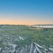 Seattle day trip – the sandy shores of jetty island
