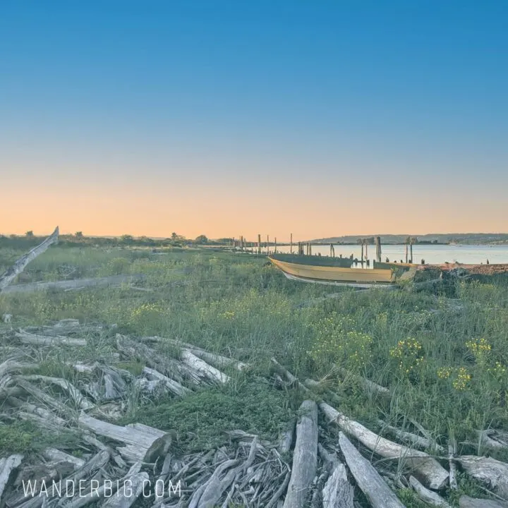 jetty island wa